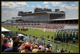 Turf Race