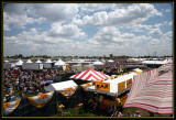 The Infield