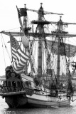 IMG_4694A copyBW.jpg