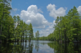 Cains Mill, near Sumter, SC