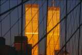 bridge_cables_and_WTC-4.jpg