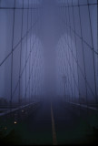 walkway_in_fog-14.jpg