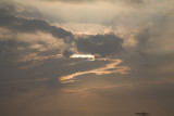 _MG_4456.jpg