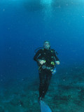 Borak from Mavi Diving