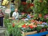 Garden shop in the Egyption spice market