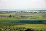 plantations of cereals and olive trees
