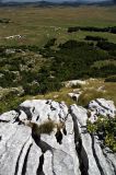 Limestone pavement, Šljeme