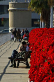 Puente de los Flores
