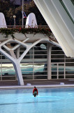 Palacio de las Artes Reina Sofia