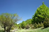 Galičica National Park