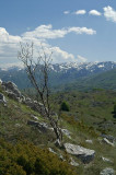 Galičica National Park