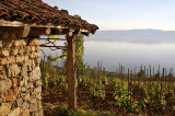 Near Šiponko