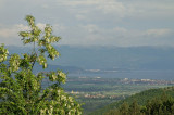 Near Vevčani