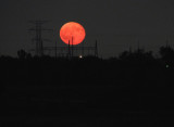 Moonrise in Bartlett