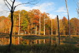 D20_5629 copy.jpg