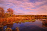 D20_5637 copy.jpg