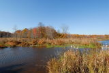 D20_6009 copy.jpg
