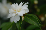 D20_6418 copy.jpg