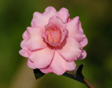 D20_6397 copy.jpg