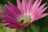 D20_7334.jpg