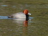 D20_9951.jpg