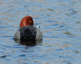 D20_9974.jpg
