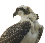 D22_1887.jpg