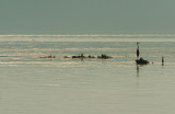 DSC_7521.jpg