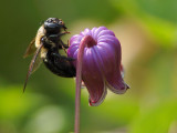 DSC_7672.jpg