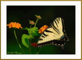 D22_4680 frame.jpg