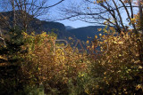 Franconia Notch Fall Foliage 001(10-04).jpg