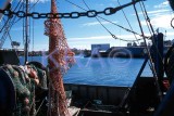 gloucester harbor through fishing gear 001(10-02).jpg