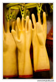 061028_HK355encomp.jpg