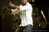 shaggy