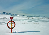 Ice Rescue