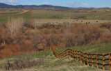 Another Fence Line