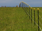 Dont Fence Me In