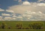 Lush Hills