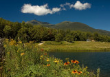 Mountain Vista