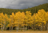 Hello Autumn