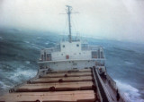 WildDayAtSea.jpg