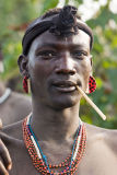 Bodi Warrior