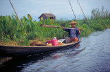 Floating Islands (Inle lake - Birma)