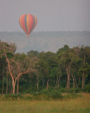 The balloon takes of at 6:30 am.  I wouldn't give up a game drive for a balloon ride but I'm sure it's fun.