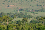 Maasi Mara - do you see the giraffes?