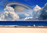A Day In The Life Of A Beach by Tom Rotkiewicz