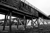 1st place<br>pier by Lovely Lynne