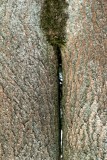 Legs by jono