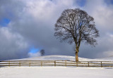 The Promise of Spring
