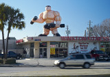 Winston Fitness on Shepherd 01